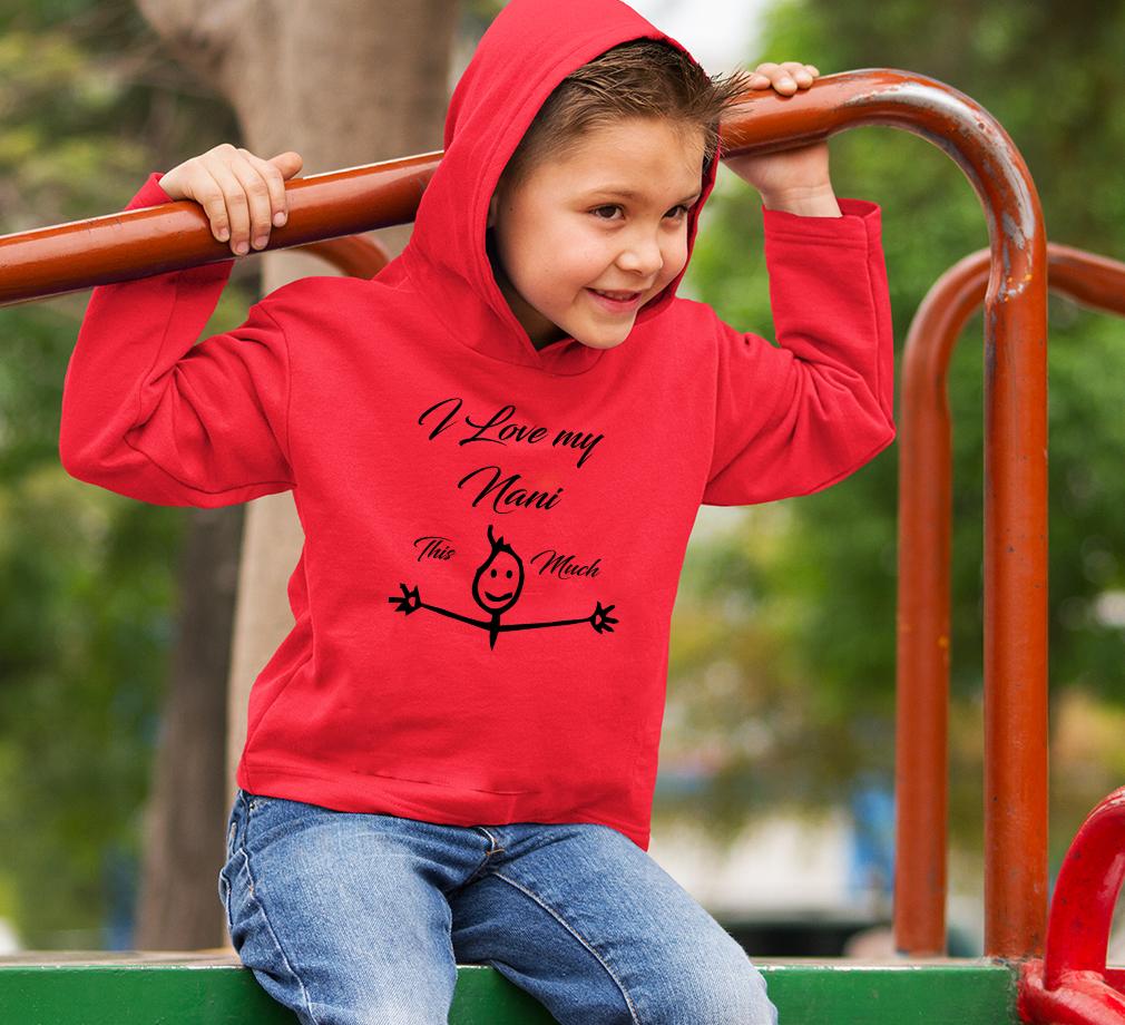 I Love my Nani Hoodie For Boys-FunkyTradition - FunkyTradition