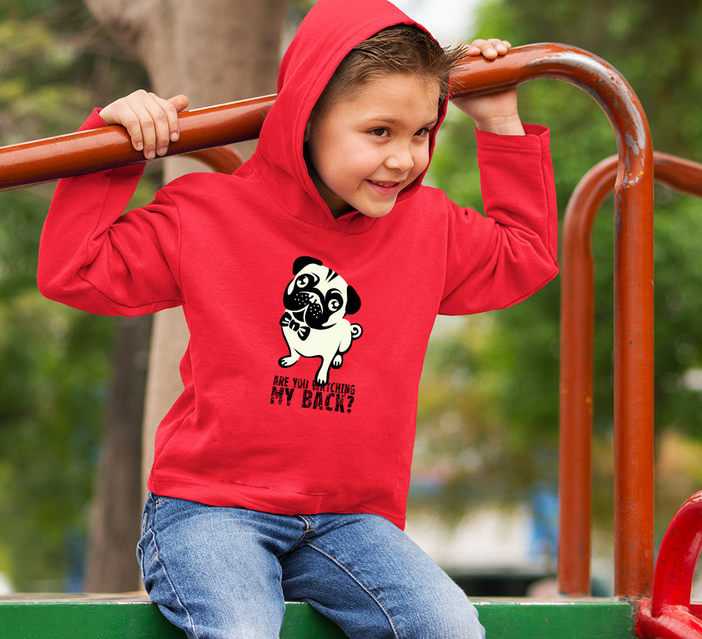 PUG Hoodie For Boys-FunkyTradition