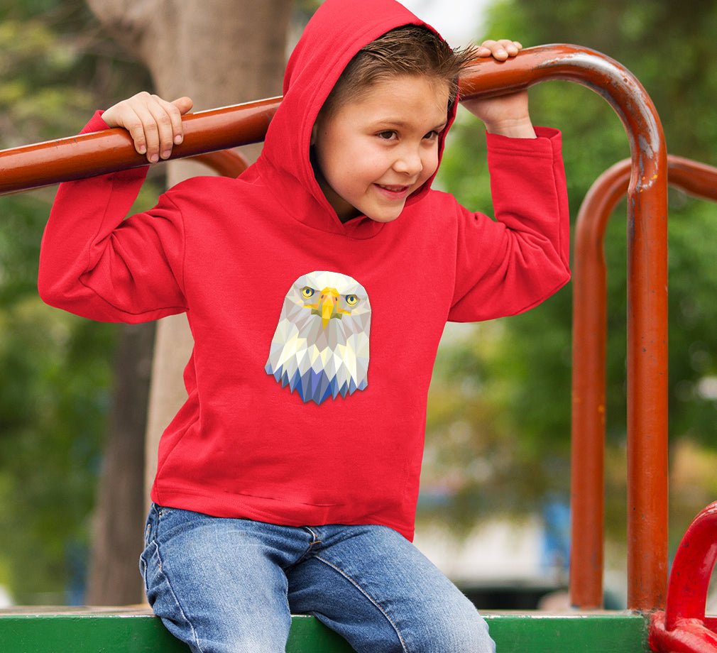 TRIANGLE EAGLE Hoodie For Boys-FunkyTradition